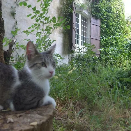 منزل ريفي Le Moulin De Madame